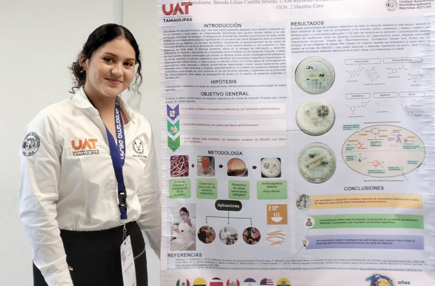  Alumna de la UAT estudia el potencial antimicrobiano de la vaina de mezquite