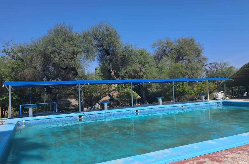  Balneario el Ojito un paraíso en medio del semidesierto