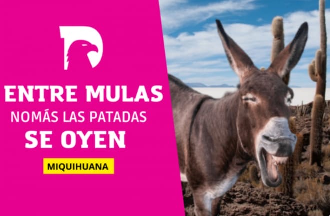  ENTRE MULAS NOMAS LAS PATADAS SE OYEN