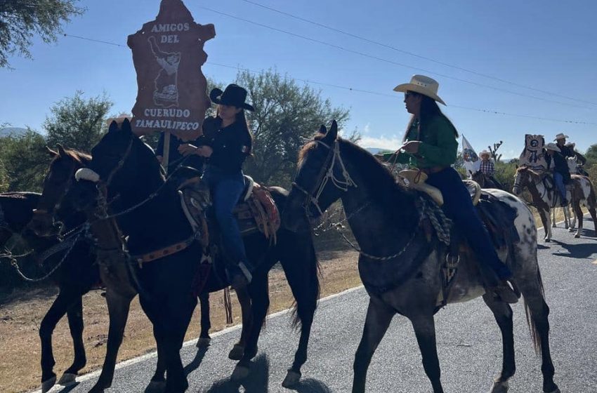  Palmillas participó en la Cabalgata del Cuerudo