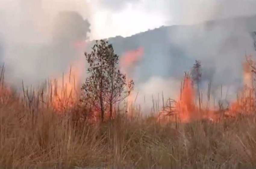  Nuevo incendio forestal en Tula