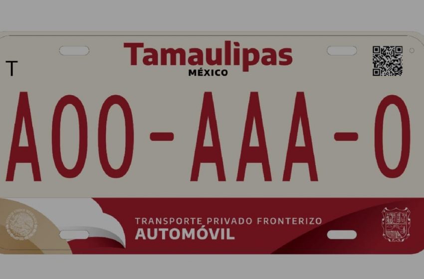  ¿Sacaste placas este año? Tendrás que volver a cambiarlas en enero