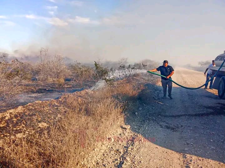  Protección Civil controla incendio forestal en Ejido Nuevo Padilla