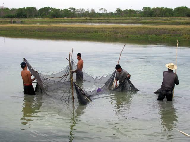  Incautan 86 toneladas de pesca a piratas en aguas de Tamaulipas