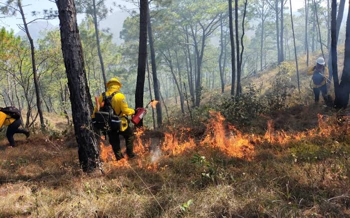  Reportan 30 incendios al día en Tamaulipas