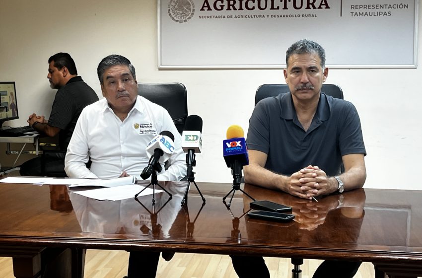  Conagua les pagará la luz a agricultores de Tamaulipas