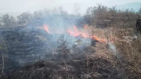  Incendio en Miguel Hidalgo genera preocupación en Tula