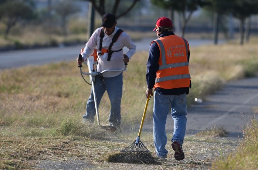  Municipio limpia y conserva 35 mil metros lineales de avenidas y jardines.