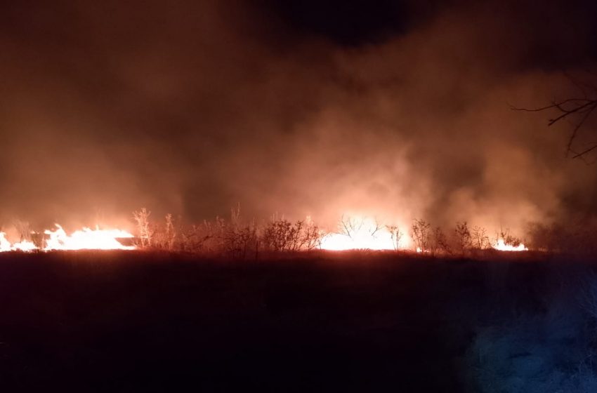  Atiende Guardia Estatal incendio en González