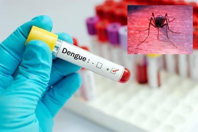  Dengue amenaza a Tamaulipas