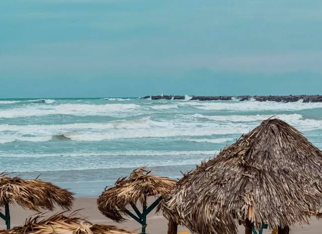  Playas, libres de toxinas para Semana Santa