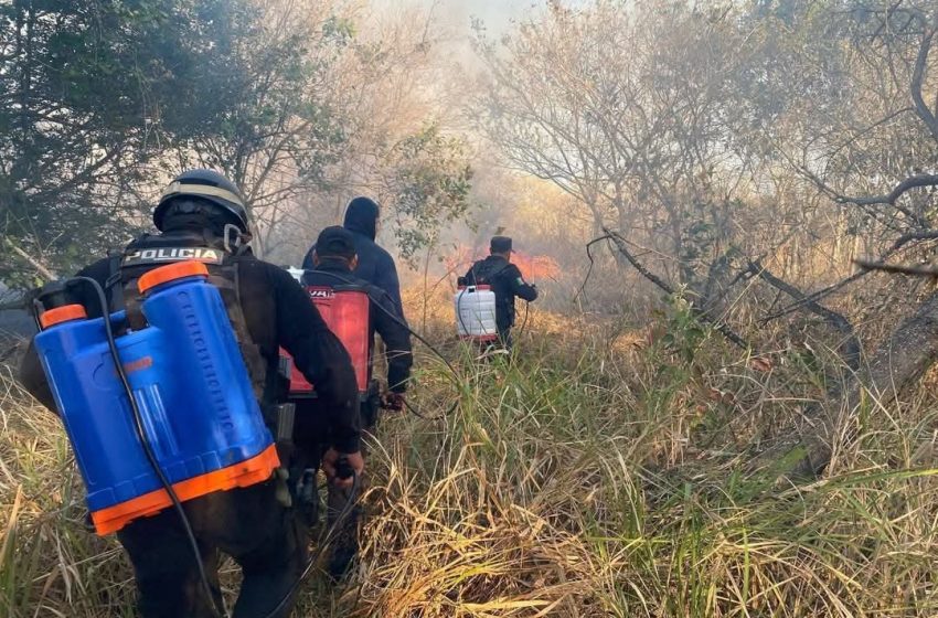  Buscan 10 años de cárcel a quienes provoquen incendios en Tamaulipas