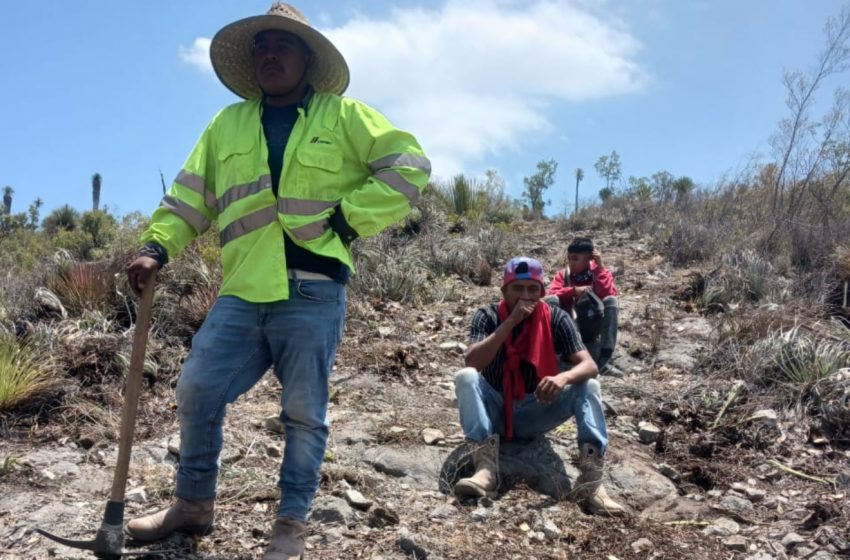 Vecinos de Tula y Guadalcazar unen esfuerzos para contener incendios forestales