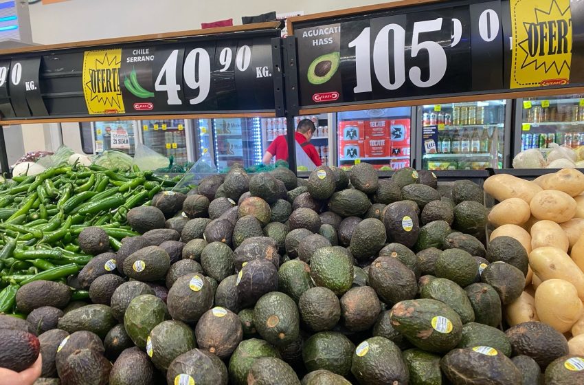  Aguacate alcanza los $105 durante Semana Santa