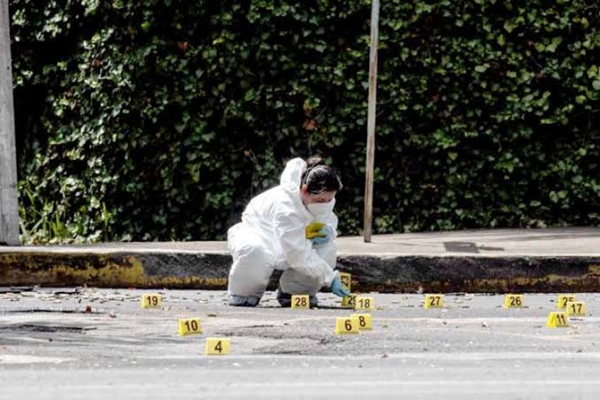 Negocios formales en Tamaulipas pierden más de 16 mil millones por comercio informal y vandalismo