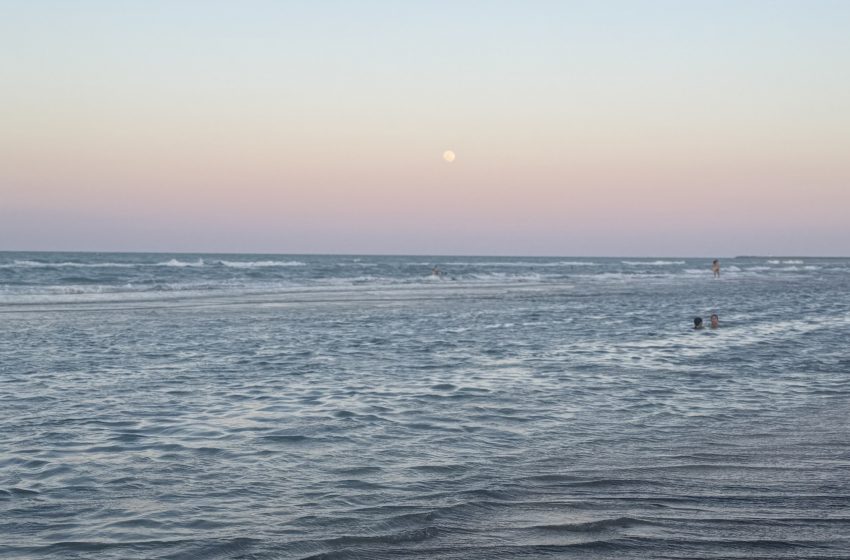 Muerte de turistas en Playa Miramar, fue su culpa, asegura el coordinador de PC