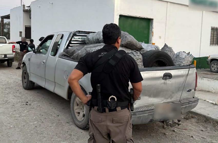 Asegura FGR 14 toneladas de carbón vegetal en cateo en SLM