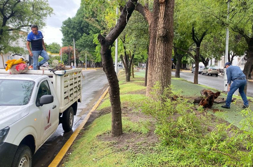 Activa Gobierno de Victoria operativo por periodo de lluvias.