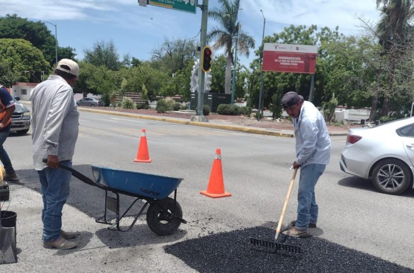 Intenso operativo de bacheo tras reportes por lluvias en la Capital.