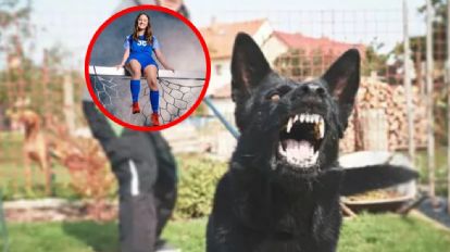 Perros hambrientos matan a joven mientras los alimentaba
