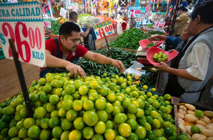 Canasta básica se vuelve 4.51 más cara en junio