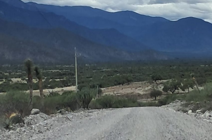 Altiplano, fuera de riego de inundaciones