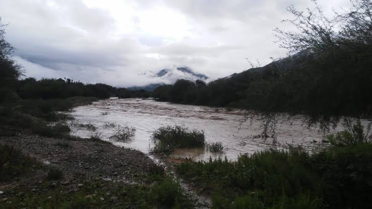  Protección civil de Palmillas en alerta ante los estragos del huracán Barry