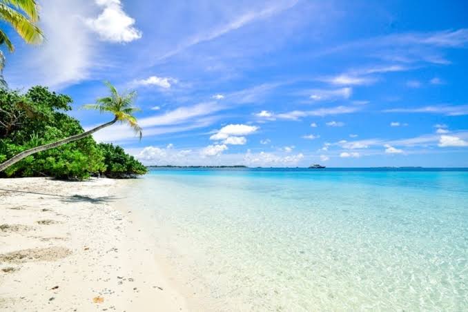  ¿Vas a la playa de vacaciones? Evita estas 16 con contaminación extrema