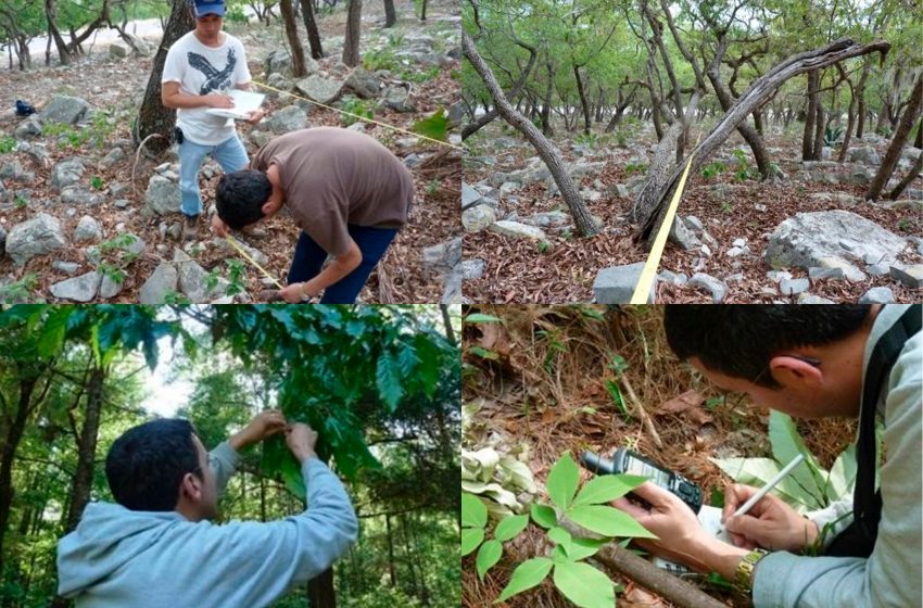  Busca la UAT conservar bosques de encino con tecnología geoespacial