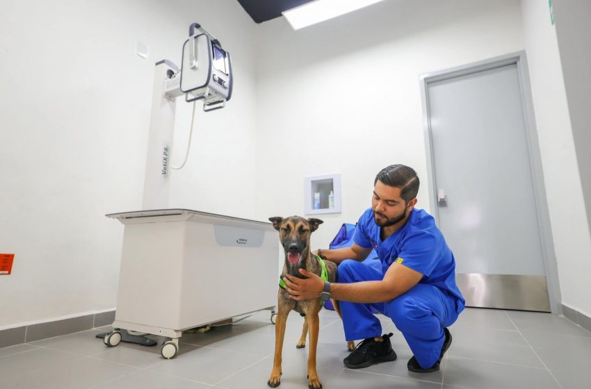  Reynosa, ciudad Imparable a favor de la vida animal