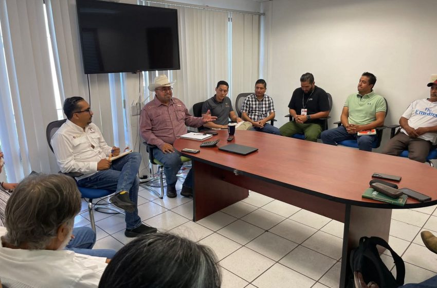 Impulsan producción sustentable de agaves mezcaleros en el Altiplano tamaulipeco