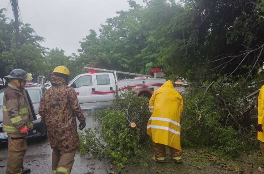 Activa y mantiene Gobierno deVictoria acciones de auxilio ala población por intensa lluvia