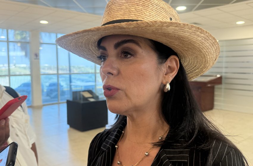  Productores en crisis: advierten que México podría depender de granos extranjeros