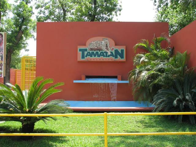  Eduardo Rocha privilegia su sueldo sobre medicamentos en Tamatán