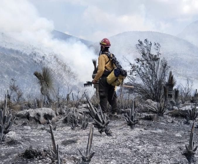  Tamaulipas logra la liquidación total del incendio forestal en Bustamante