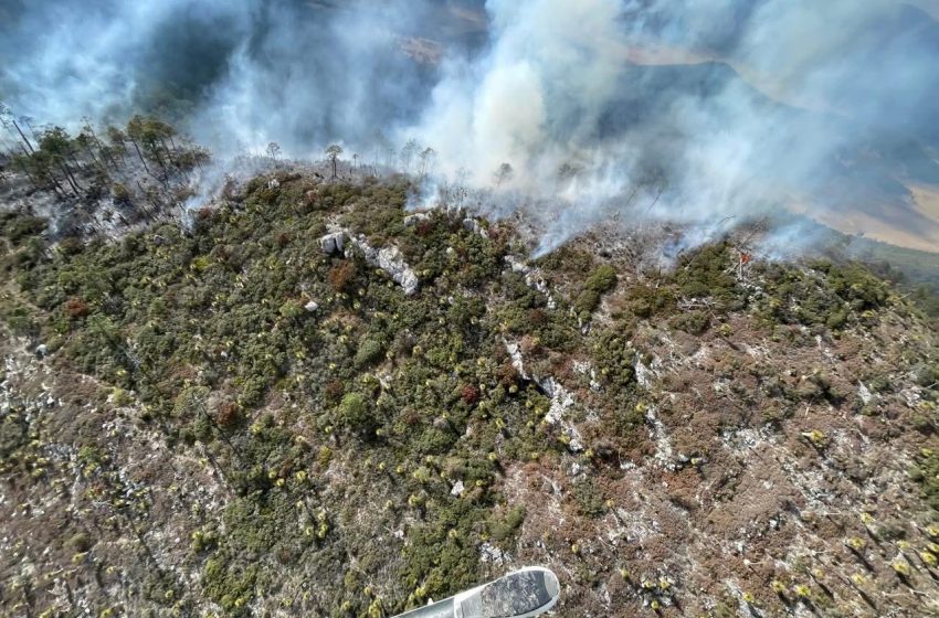  Avanza al 70 % control del incendio “Puerto del Volcán” en Miquihuana