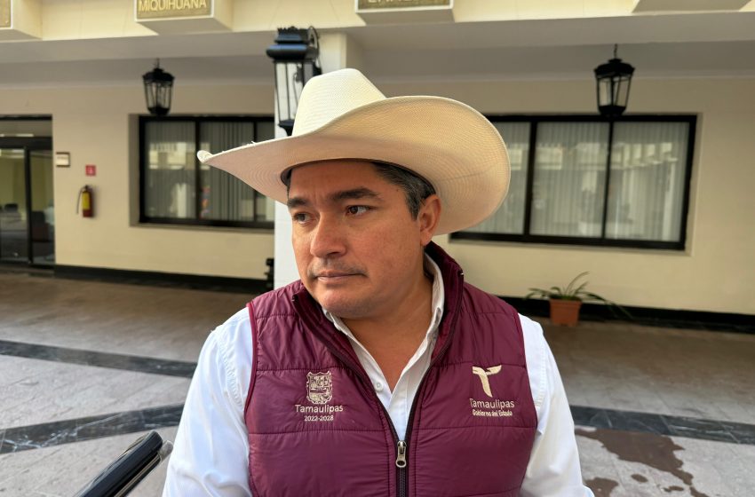  Rastro de Aldama, abandonado y con indicios de corrupción