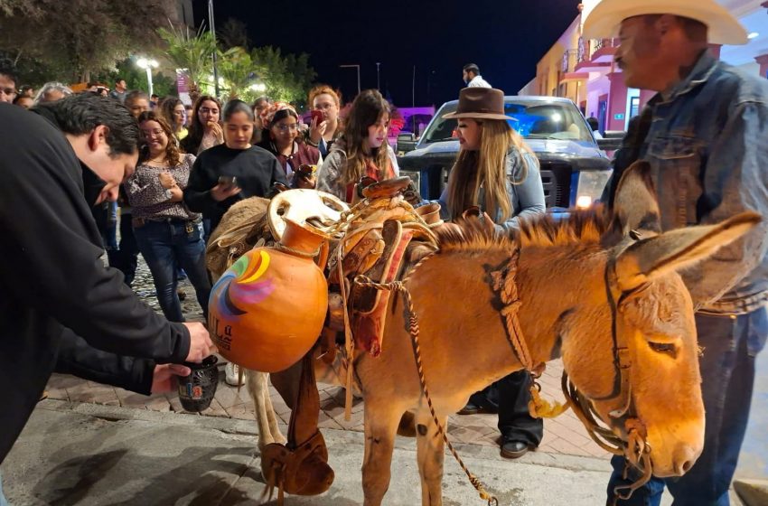  Tula cuenta con nuevo módulo informativo