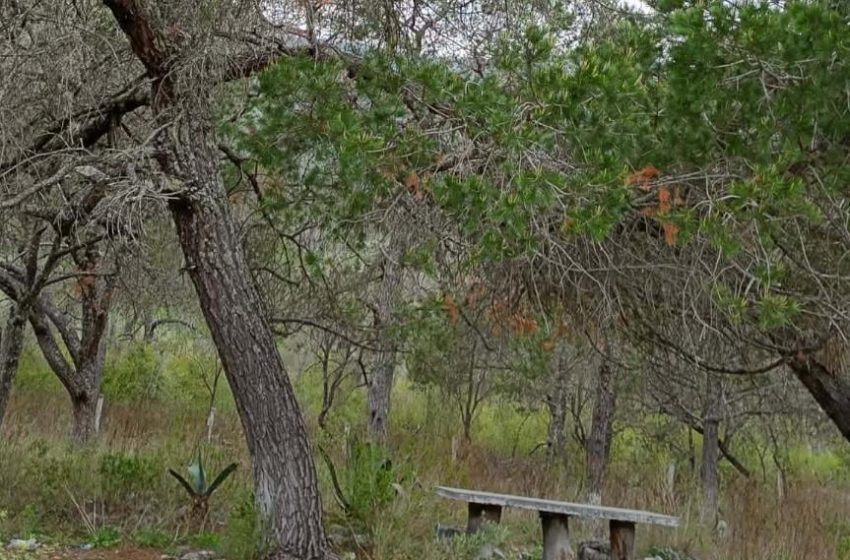  Vandalismo destruye área recreativa “La Media Luna” en Miquihuana