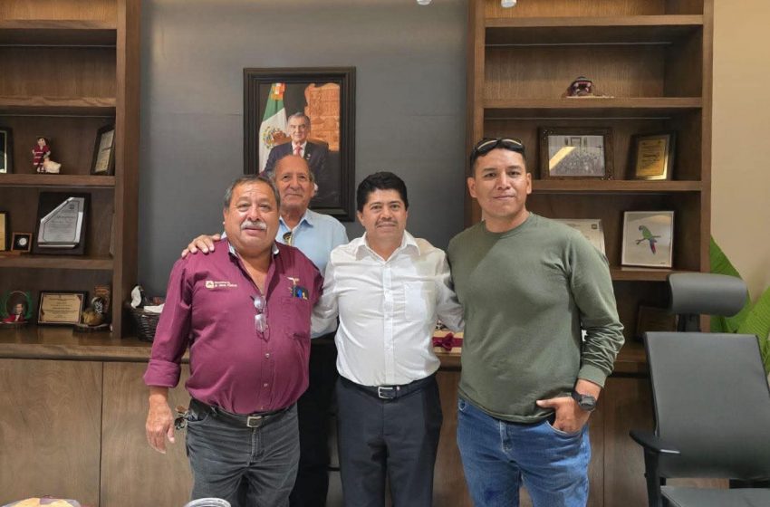  Avanza proyecto de electrificación en la colonia Presidentes de Jaumave