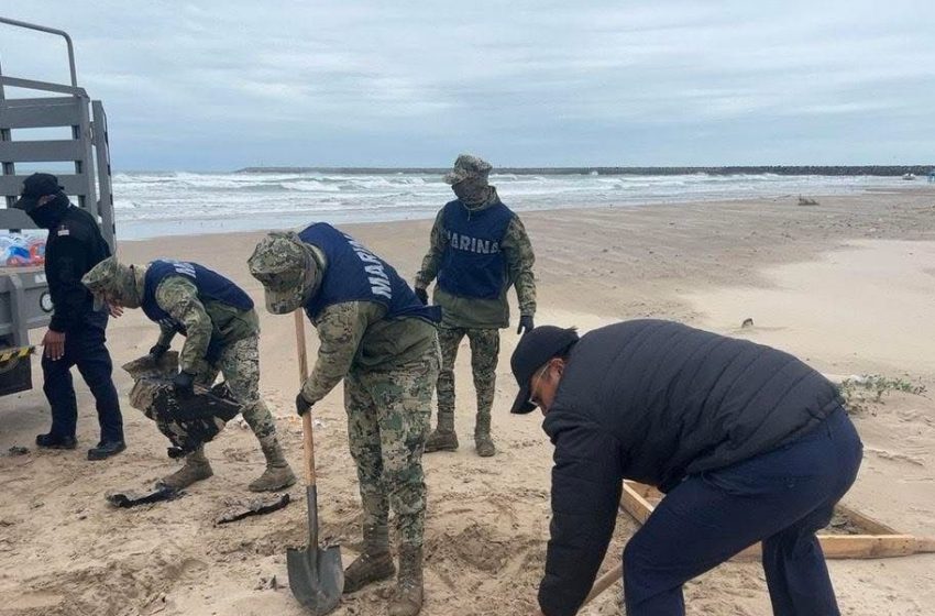  Retiran 236 kilogramos de hidrocarburo en playas de Tamaulipas