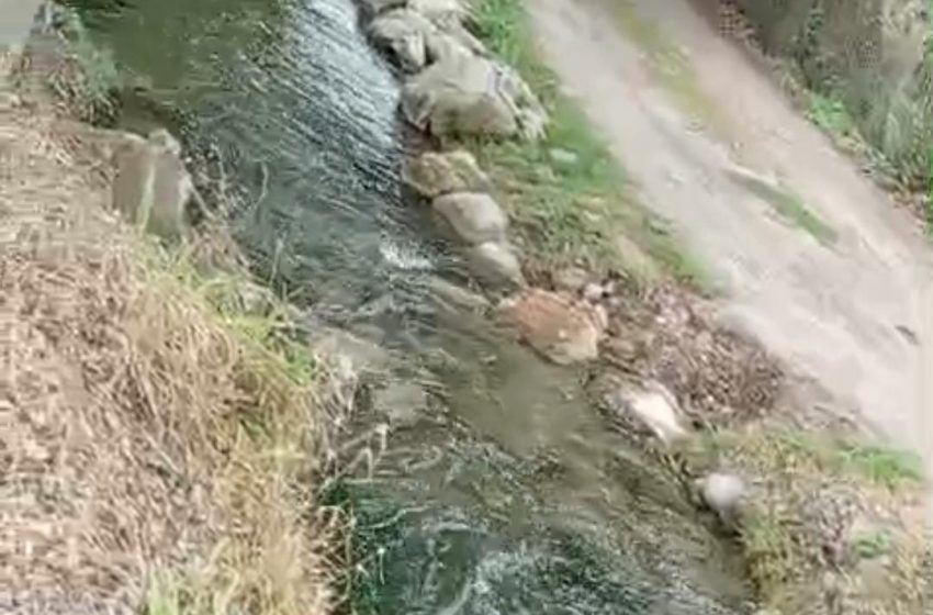  Agua rodada en solares salva cosechas de frutales