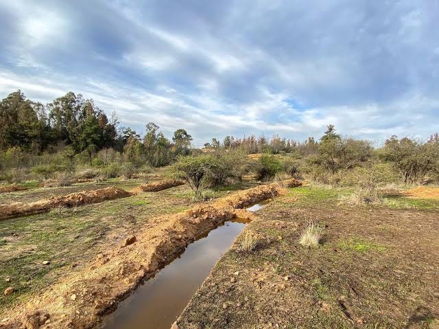  Agricultores de Bustamante deben construir las zanjas de infiltración en sus parcelas
