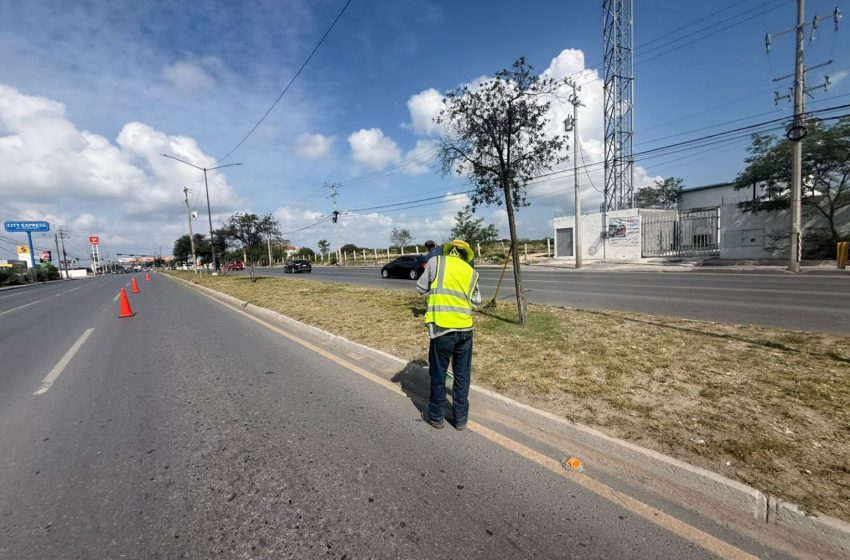  Intensivo programa de limpieza del Gobierno de Carlos Peña Ortiz en vialidades de Reynosa