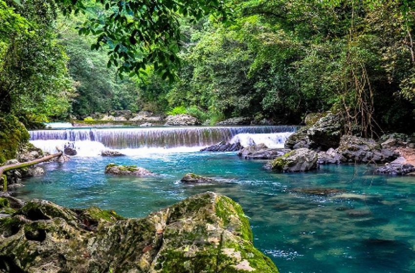  Seduma busca ordenar el turismo en la Reserva de la Biósfera El Cielo