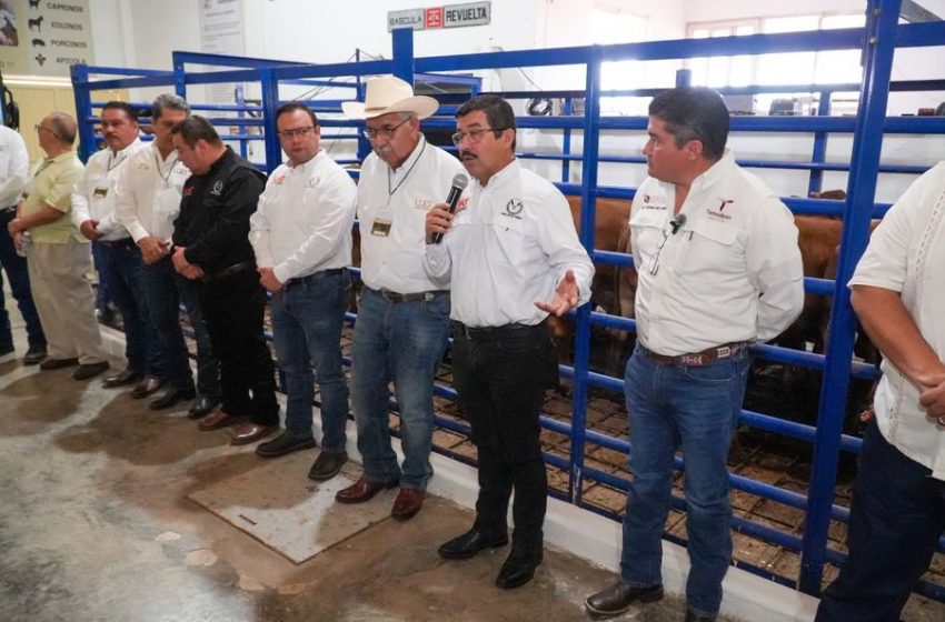  Impulsa UAT alianza estratégica para fortalecer el sector ganadero en Tamaulipas