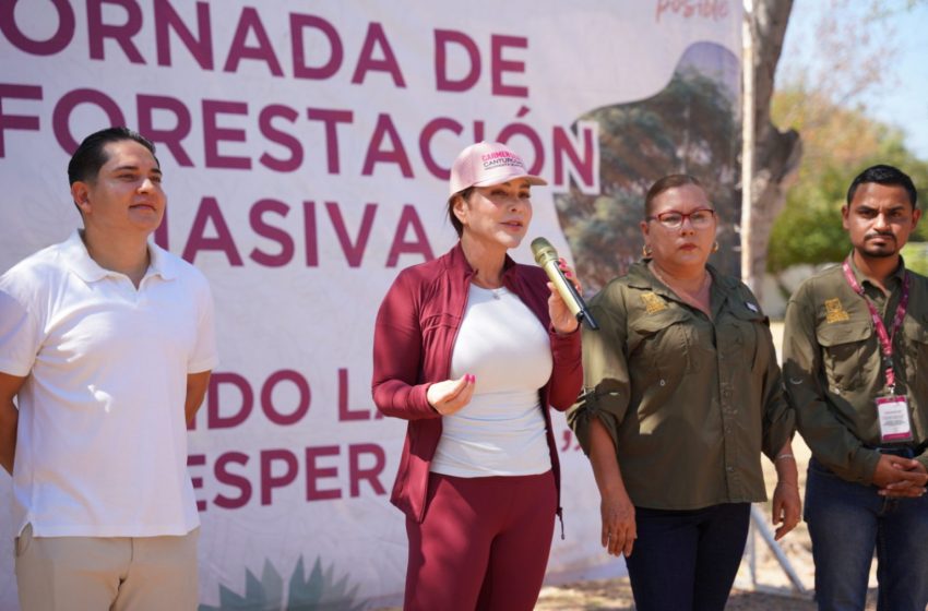  Se suma gobierno de Nuevo Laredo a Jornada Nacional de Reforestación