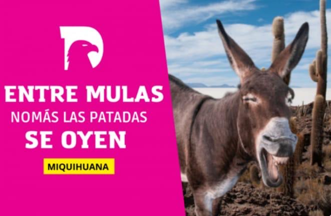  Miquihuana: la sucesión que amenaza con romper el cacicazgo