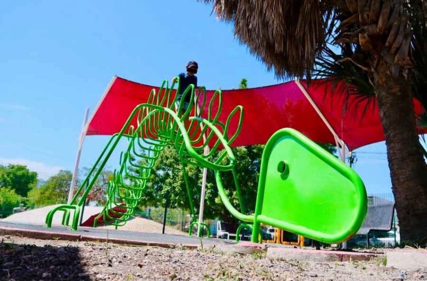  Más allá de la reforestación, piden recuperar parques de Victoria