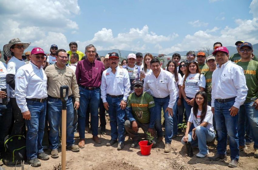  Se suma UAT a la Jornada Nacional de Reforestación 2026 En Tamaulipas